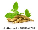 Small photo of Ashwagandha Dry Root Medicinal Herb with Fresh Leaves, also known as Withania Somnifera, Ashwagandha, Indian Ginseng, Poison Gooseberry, or Winter Cherry. Isolated on White Background.