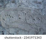 Five hand imprinted in sand