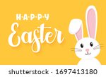 Easter Rabbit  Easter Bunny....