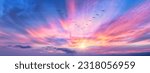 A Bird Formation Silhouette Is Soaring Above The Colorful Clouds At Sunset Banner