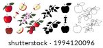big set of red apples in... | Shutterstock .eps vector #1994120096