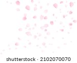 cherry blossom blizzard... | Shutterstock .eps vector #2102070070