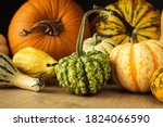 Variety of edible and decorative gourds and pumpkins. Autumn composition of different squash types on wooden table.
