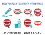 infographic how to brush your... | Shutterstock .eps vector #1805557150