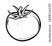 hand drawn tomato. organic eco... | Shutterstock .eps vector #1858116190