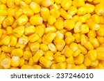 Bulk Of Yellow Corn Grains...