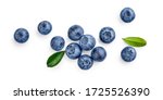 Fresh blueberries with bluberry leaves isolated on white background. Top vew.