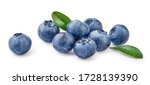 Fresh Blueberries With Bluberry ...