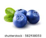 Three Blueberries. Berry...
