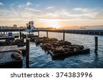 Seal (sea Lions) at the Pier 39 of San Francisco with beautify yellow sunset over dark sea. Pier 39 is a shopping center and popular tourist attraction built on a pier in San Francisco, California