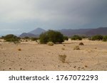 Deserted Landscape. View Of The ...