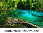 Emerald Blue Pool. Krabi ...