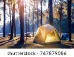 Camping and tent under the pine forest near the lake with beautiful sunlight in the morning 