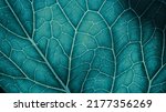 Plant Leaf Closeup. Mosaic...