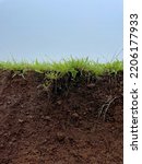 Small photo of Close up of soil with green grass on the top layer