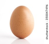 Single Brown Chicken Egg...