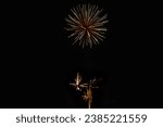 Small photo of New Year's Night, Diwali, bonfire night Colourful Starbursts and Rocket Explosions on Black Background Sky with Red, Green, Blue, Purple, Gold Colour Fireworks Bursts with Space for Text-Smoke-free