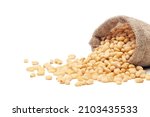 Siberian, Peeled pine nuts in burlap bag isolated on white background. Healthy nuts snacks. Clipping path, full depth of field. Closeup view.