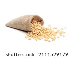 Siberian, Peeled pine nuts in burlap bag isolated on white background. Healthy nuts snacks. Clipping path, full depth of field. Closeup view.