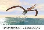 3d Illustration Of A Pteranodon ...