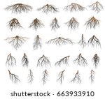Set of tree roots. silhouette vector Illustration.