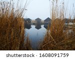 Reed at Lake Neusiedl in Burgenland Austria during winter