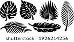 set of palm leaves silhouettes... | Shutterstock .eps vector #1926214256