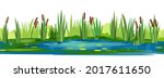 Reed and cattail thickets. Swampy wild landscape with water. Leaves of water lilies. Horizontally seamless composition. Overgrown bank of a pond or river. Isolated illustration vector