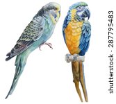  Watercolor Birds.  Blue...