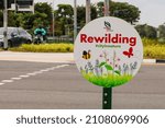 Small photo of SINGAPORE - 16 JAN 2022: National Parks' "Rewilding - Let's make Singapore Our City In Nature" Plan involves planting of native trees, shrubs and wildflowers to create a more naturalistic landscape.