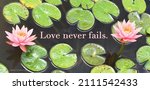 Small photo of Bible verse: 1 Corinthians 13:8 "Love never fails"; Two blooming pink water lily flowers and several green lily pads in pond water.