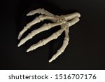 Spooky Halloween severed skeletal hand reaching out