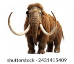 Woolly mammoth isolated on...