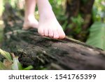  Bare Foot Walk On Old Timber...