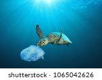 Plastic pollution in ocean problem. Sea Turtle eats plastic bag 