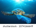 Plastic pollution in ocean...