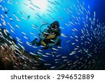 Scuba diving with fish on coral reef