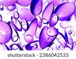 Bright violet and lilac natural structures and shapes. Negative pattern of green Veratrum leaves. Abstract colorful background.