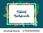 natural leaf backgrounds. white ... | Shutterstock .eps vector #1704545050