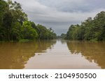 Small photo of On a river cruise through the tropical rainforest of Borneo, Malaysia. Lush vegetation and huge tropical trees along the wide river. Brown opaque water in the jungle of Sabah. Grey rain clouds on sky