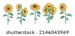 sunflower element set designed... | Shutterstock .eps vector #2146043969