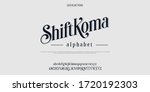 custom font bundle script serif. | Shutterstock .eps vector #1720192303