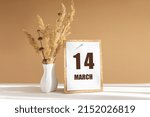 march 14. 14th day of month, calendar date.White vase with dried flowers on desktop in rays of sunlight on white-beige background. Concept of day of year, time planner, spring month.