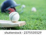 Small photo of White cricket ball on wooden racket. Concept, sport equipment. Competitive sport. A cricket ball is made with a core of cork, covered by a leather case with a slightly raised sewn seam