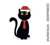 Black Kitten In Christmas...