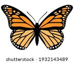 Monarch Butterfly. Hand Drawn...