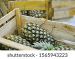 Small photo of free market stall pineapples for sale