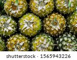 Small photo of free market stall pineapples for sale