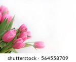 Bouquet Of Pink Tulips On A...