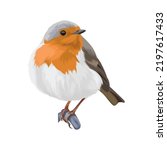 Robin Bird Vector Illustration...